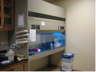cell culture room