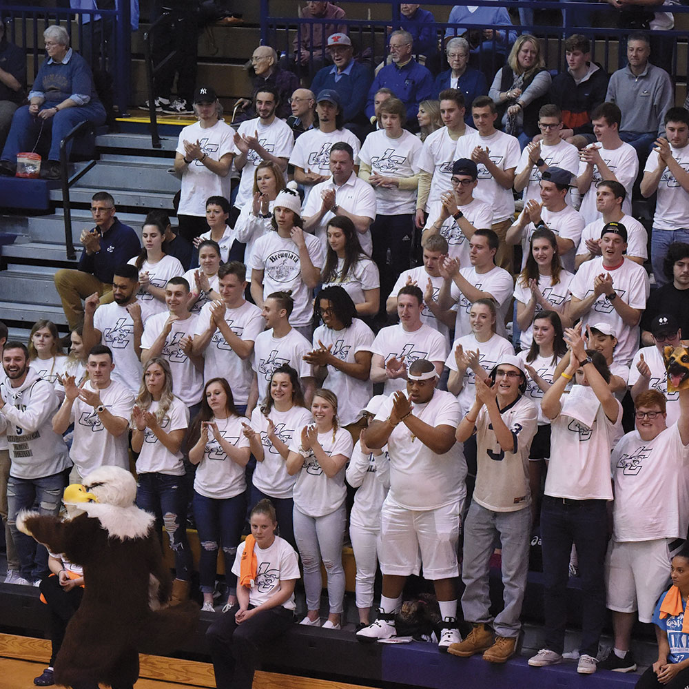 Crowd Cheering for the Landmark Champonship game